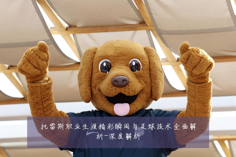 托雷斯职业生涯精彩瞬间与足球技术全面解析-深度解析